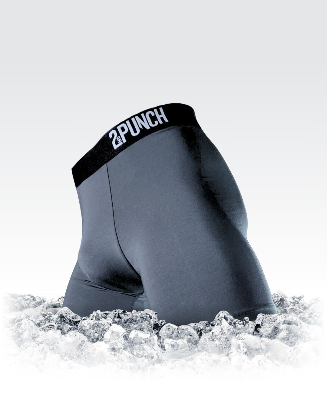Briefs